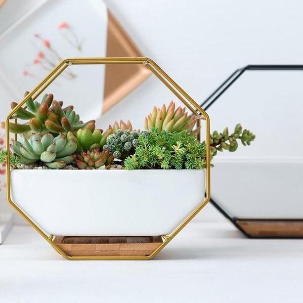 Lunara – Jardinière murale géométrique et naturelle en céramique