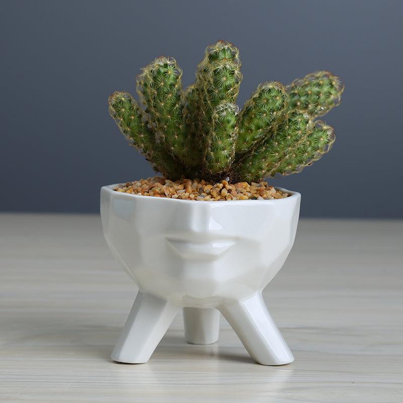 Soléra – Cache-pots en céramique minimaliste et sculptural