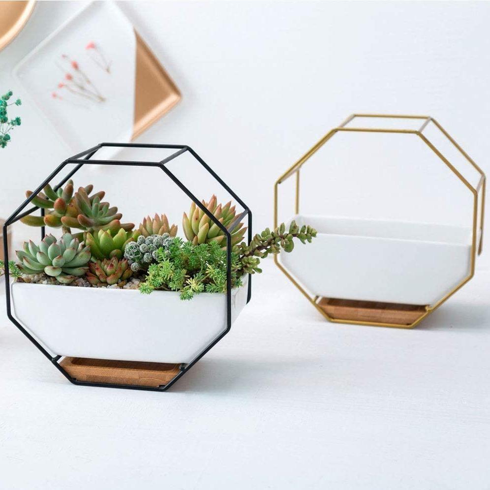 Lunara – Jardinière murale géométrique et naturelle en céramique