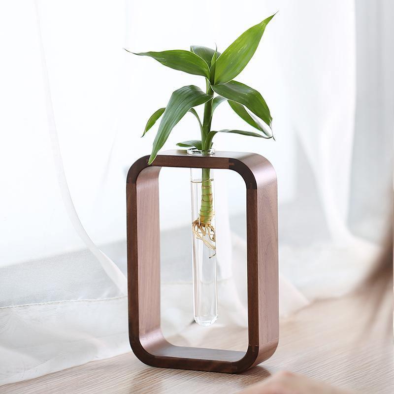 Solène – Vase hydroponique en verre et bois naturel au design épuré