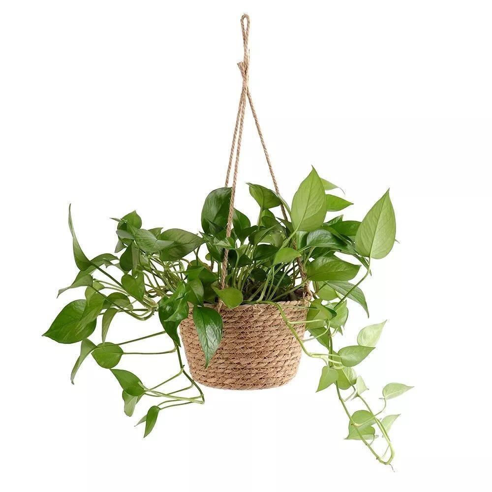Lunara – Suspension murale en jute naturelle et texturée
