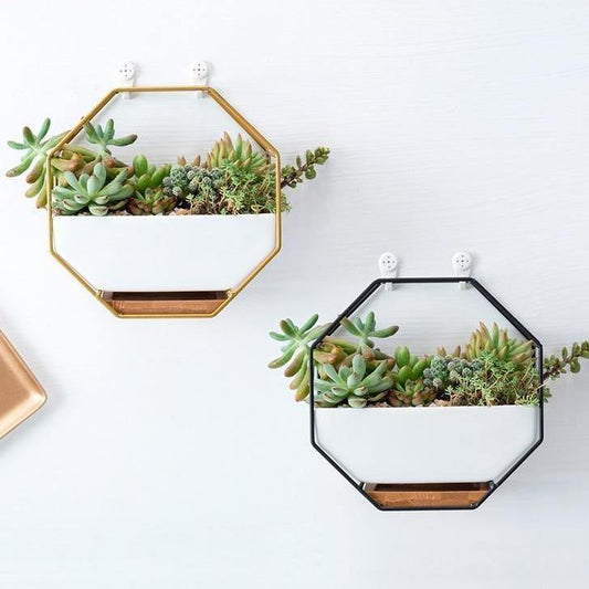 Lunara – Jardinière murale géométrique et naturelle en céramique