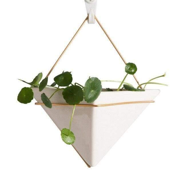 Solène – Terrarium suspendu géométrique et design